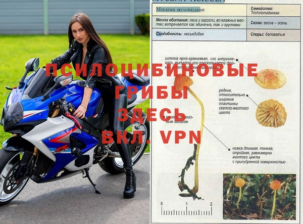а пвп мука Алексеевка