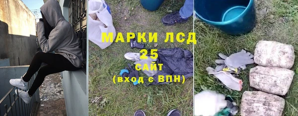 прущие грибы Алзамай