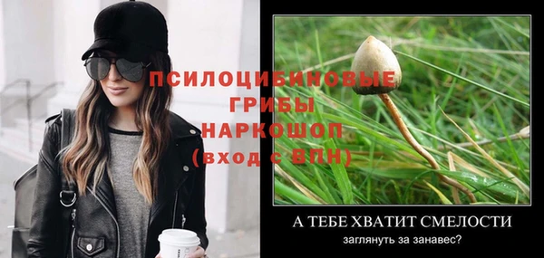 героин Алексин